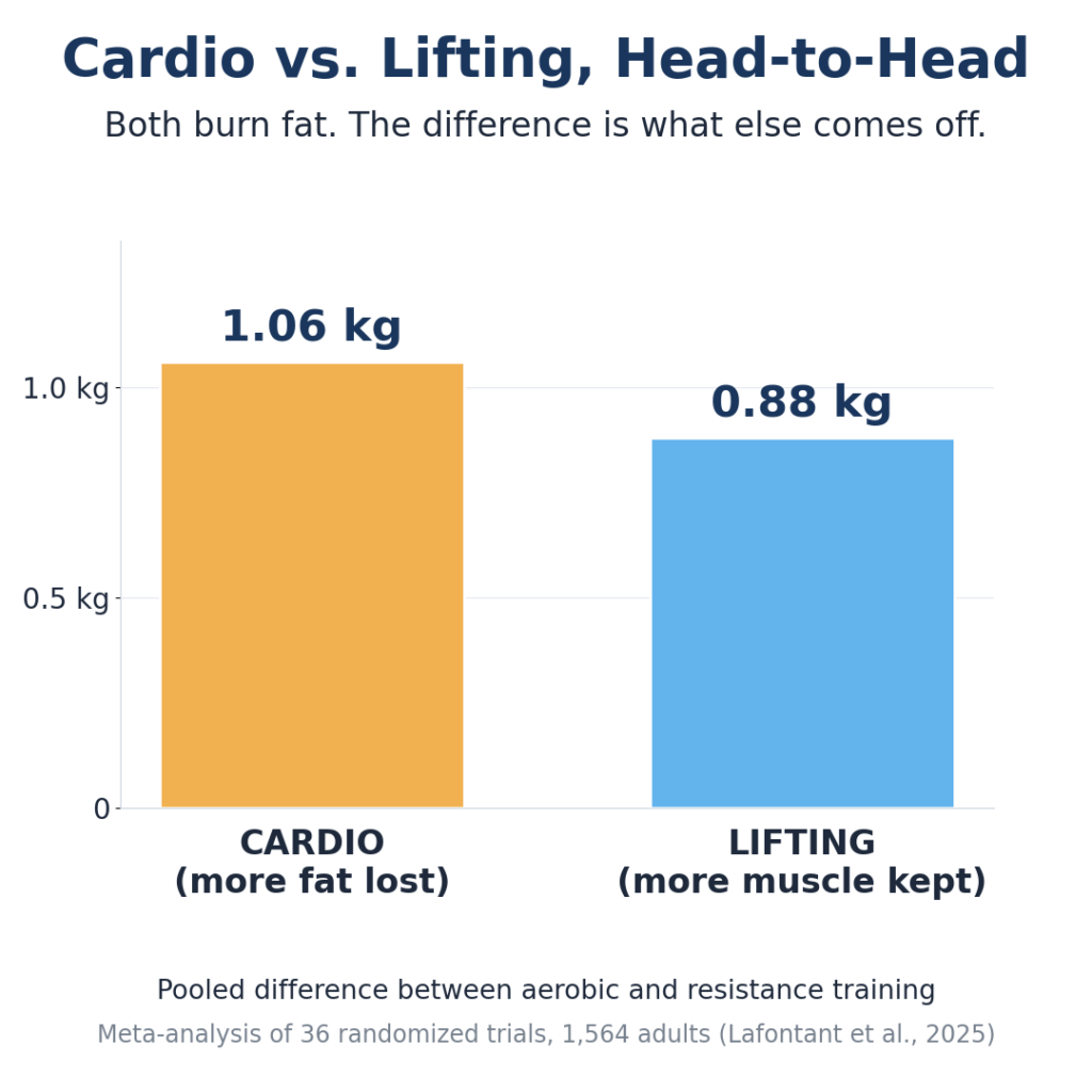 Bar chart comparing fat lost with cardio versus muscle kept with lifting, from a 2025 meta-analysis
