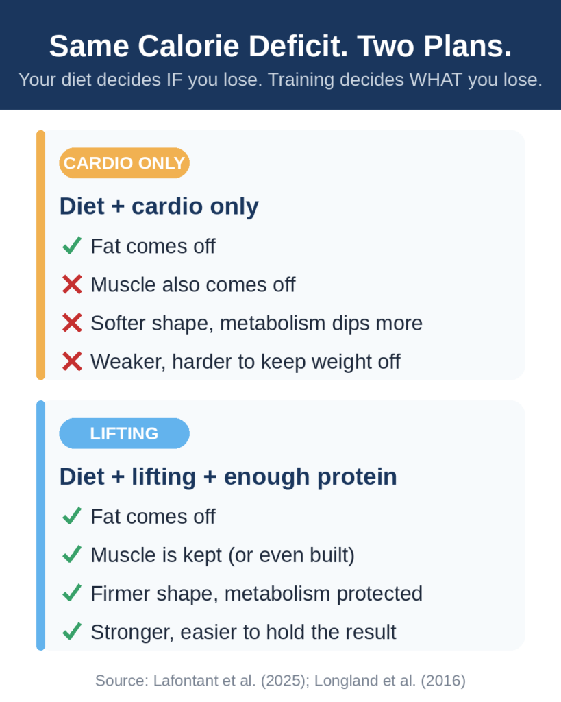 Diagram comparing diet plus cardio only versus diet plus lifting and protein in the same calorie deficit