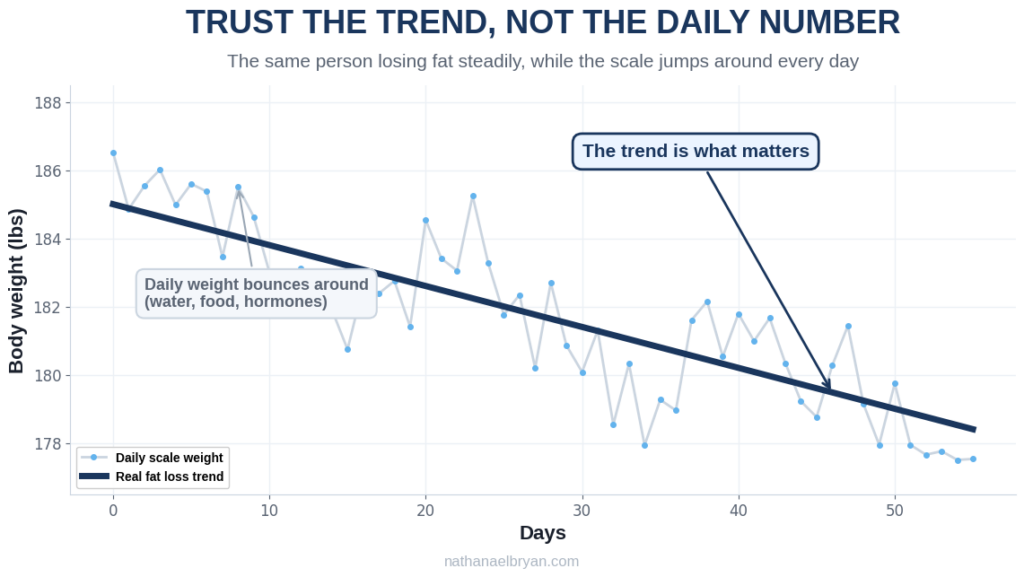 Chart showing daily scale weight fluctuating while the real fat loss trend goes down steadily