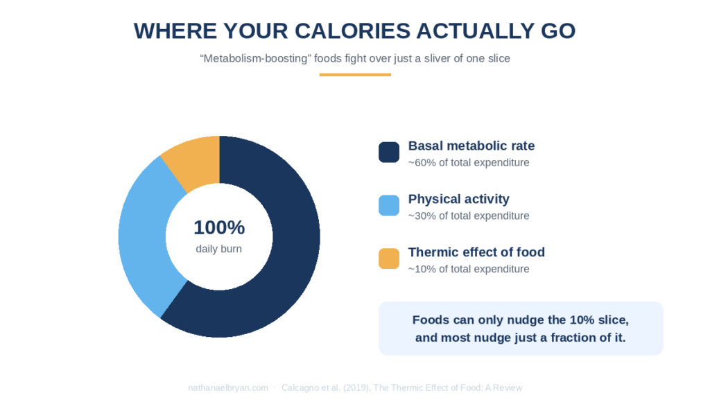 Donut chart showing basal metabolic rate 60 percent, physical activity 30 percent, and thermic effect of food 10 percent of daily energy expenditure