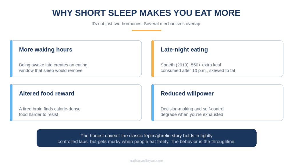 Four mechanisms explaining why short sleep makes you eat more