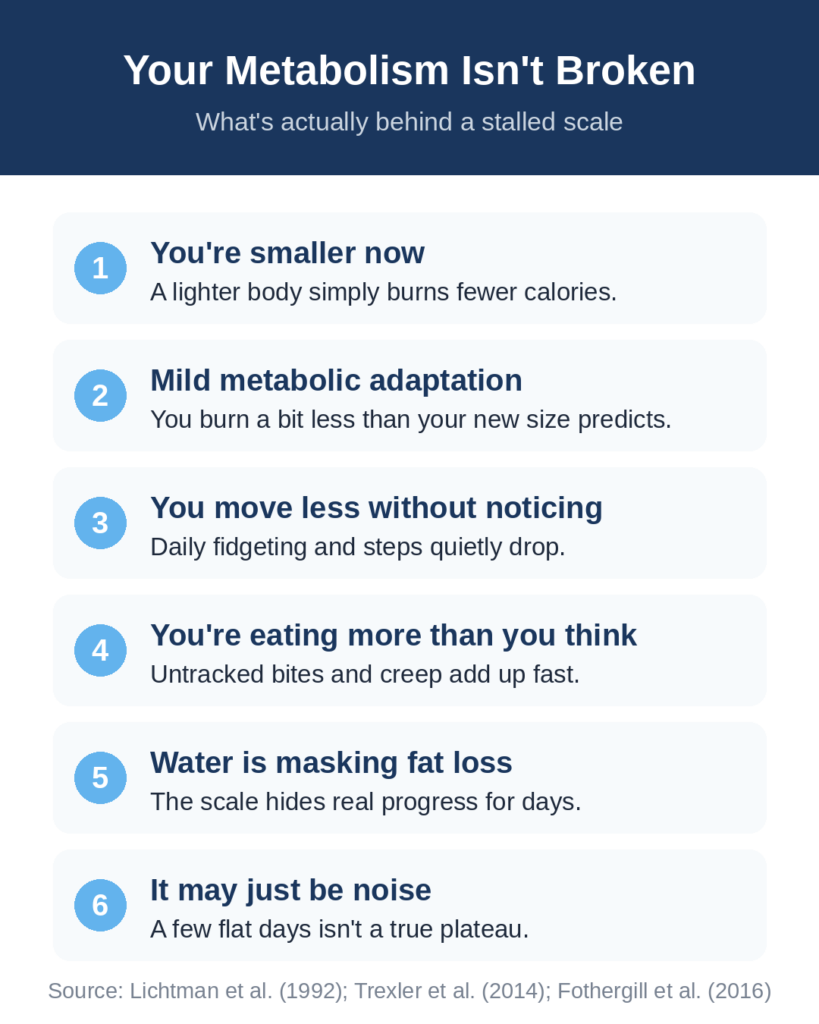 Six real causes of a weight loss plateau when the scale stalls